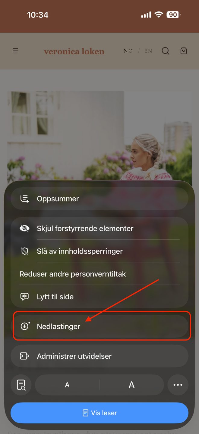 Eller: trykk «AA»-menyen og velg «Nedlastinger».