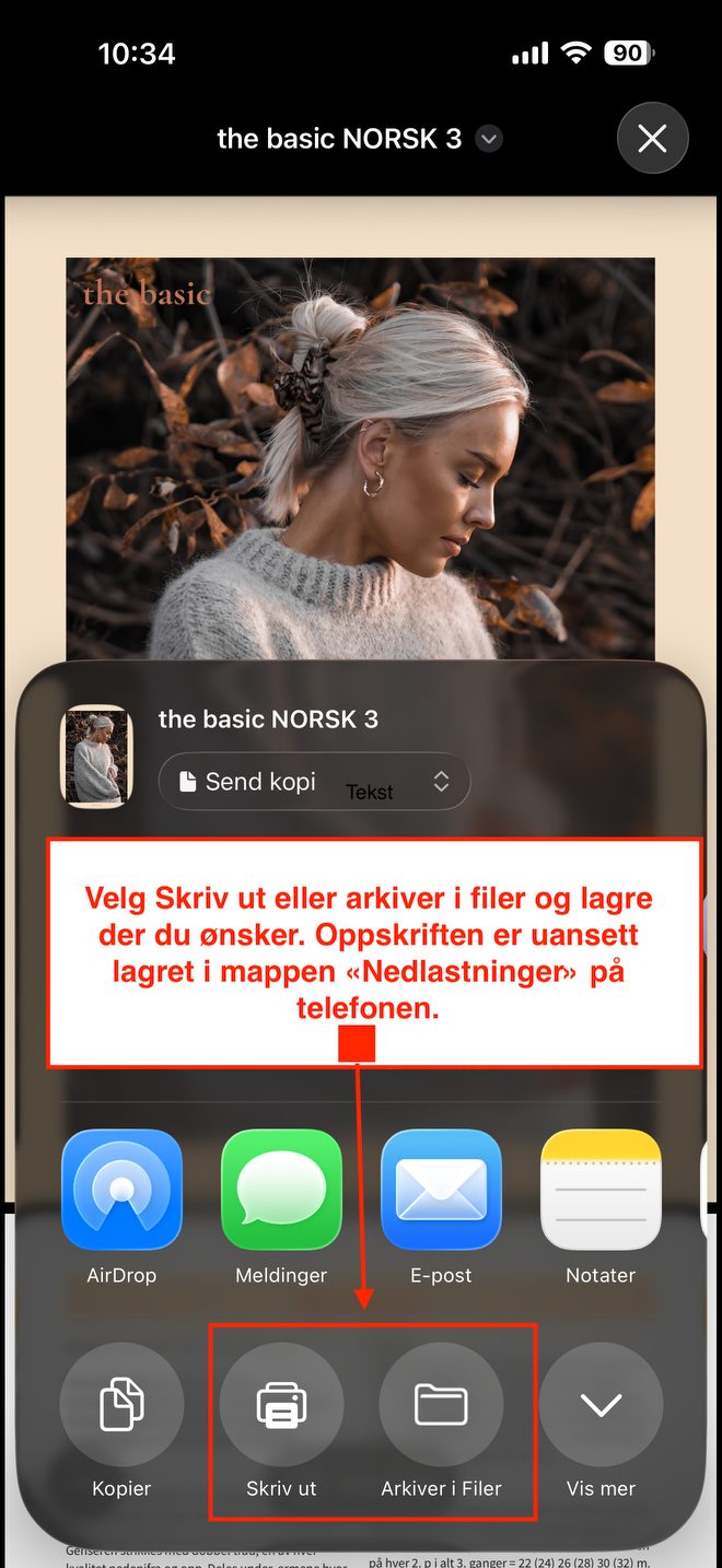 PDF-en åpnes. Vil du lagre den et bestemt sted, trykk del-ikonet og velg «Arkiver i Filer» eller «Skriv ut». Filen ligger uansett trygt i «Nedlastinger».